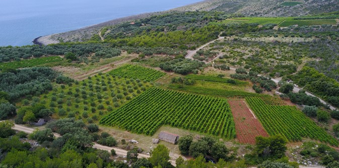 DJI_0077.JPG