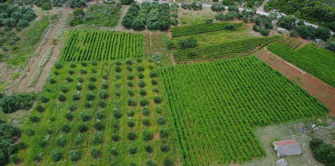DJI_0082.JPG