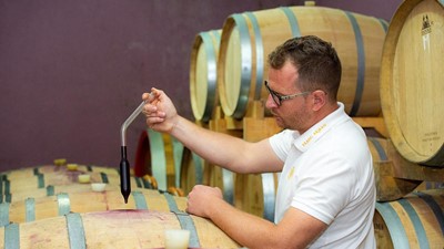 franc-arman-vina-4.jpg