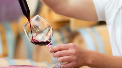 franc-arman-vina-6.jpg