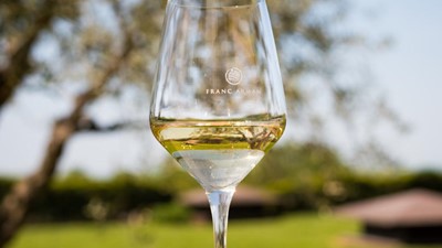 franc-arman-vina-12.jpg