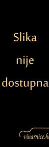 SAUVIGNON - Košutić