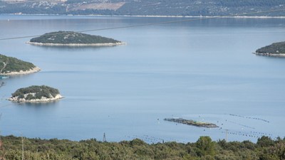 DSCF4437.JPG