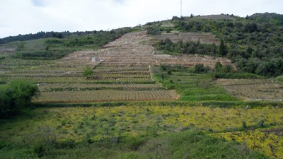 P4170001.JPG