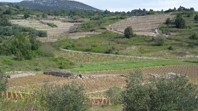 P4170003.JPG