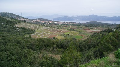 P4170059.JPG