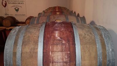 IMG_20190328_091613.jpg