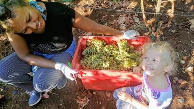 IMG-20220419-WA0032.jpg