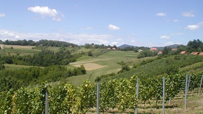 P1010041.JPG