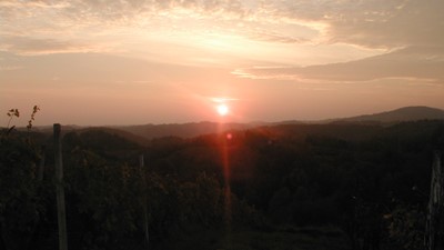 PA200048.JPG